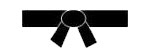Black Belt / 1st Dan